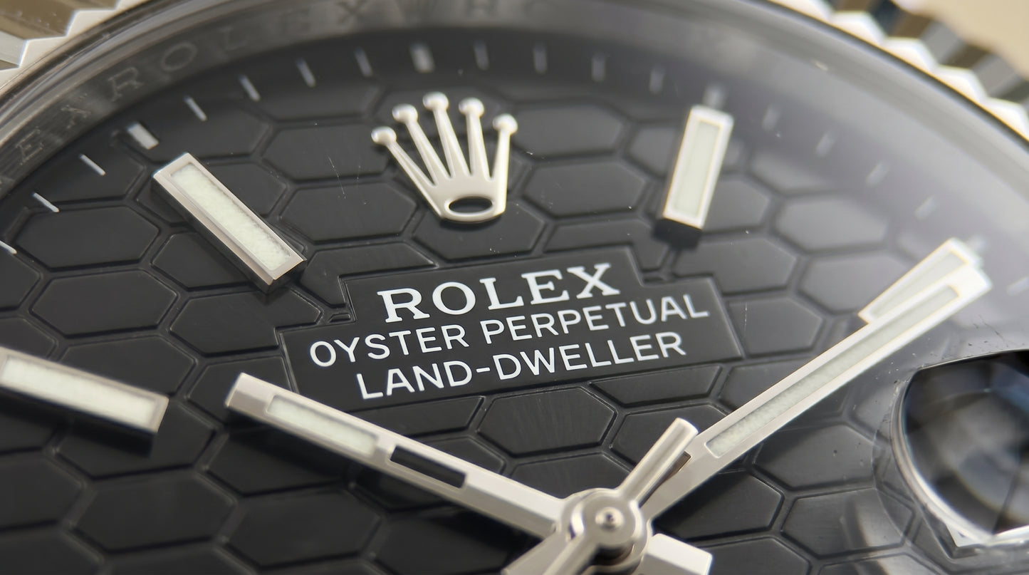 Rollie Land & Dweller Black Dial - Full Silver Steel